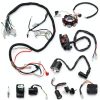 Zreneyfex ATV Wiring Harness Kit 150cc Electric-0